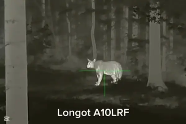 Охота на медведя с тепловизионным прицелом Longot A10LRF